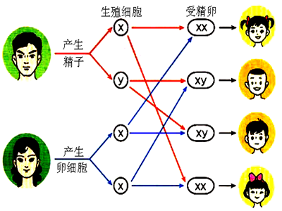 妇女节;女性;性别;男强女弱 妇女节;女性;性别;男强女弱