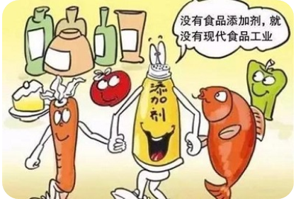 食品添加剂;瘦肉精;食品;健康 食品添加剂;瘦肉精;食品;健康