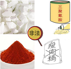 食品添加剂;瘦肉精;食品;健康 食品添加剂;瘦肉精;食品;健康