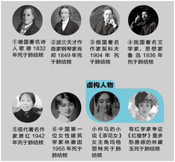 结核病;肺结核;健康;白色瘟疫