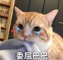飞絮;过敏;花粉;柳絮 飞絮;过敏;花粉;柳絮
