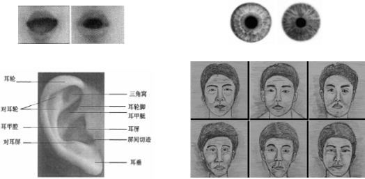 人脸识别;AI;人工智能;刷脸解锁 人脸识别;AI;人工智能;刷脸解锁