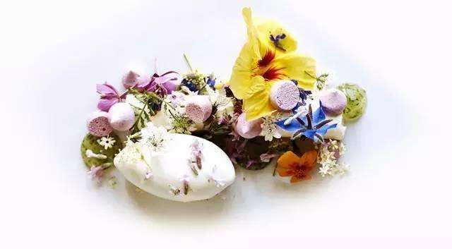 赏花;吃花;春季;可食用花卉;春季养生;美食 赏花;吃花;春季;可食用花卉;春季养生;美食