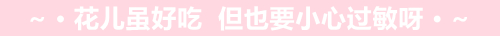 赏花;吃花;春季;可食用花卉;春季养生;美食 赏花;吃花;春季;可食用花卉;春季养生;美食