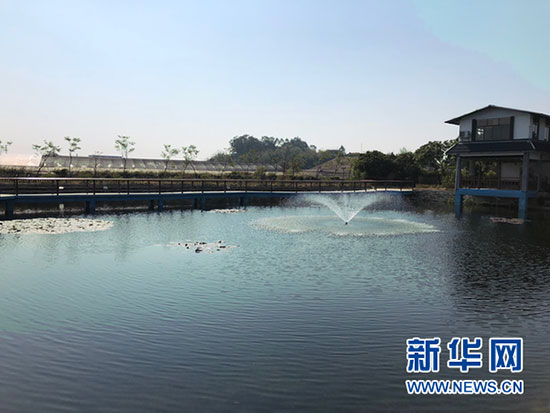 碳达峰,碳中和,深度科普 碳达峰,碳中和,深度科普