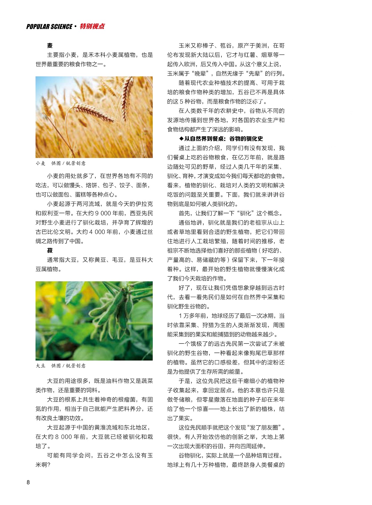 粮食;大米;水稻;小米