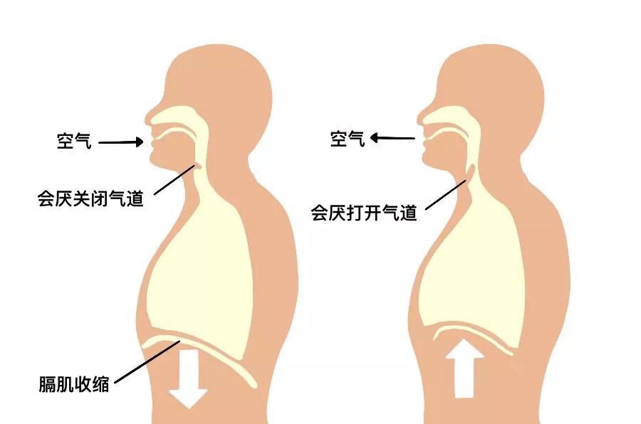 趴着睡觉,趴着睡觉究竟有哪些坏处,午休的正确打开方式