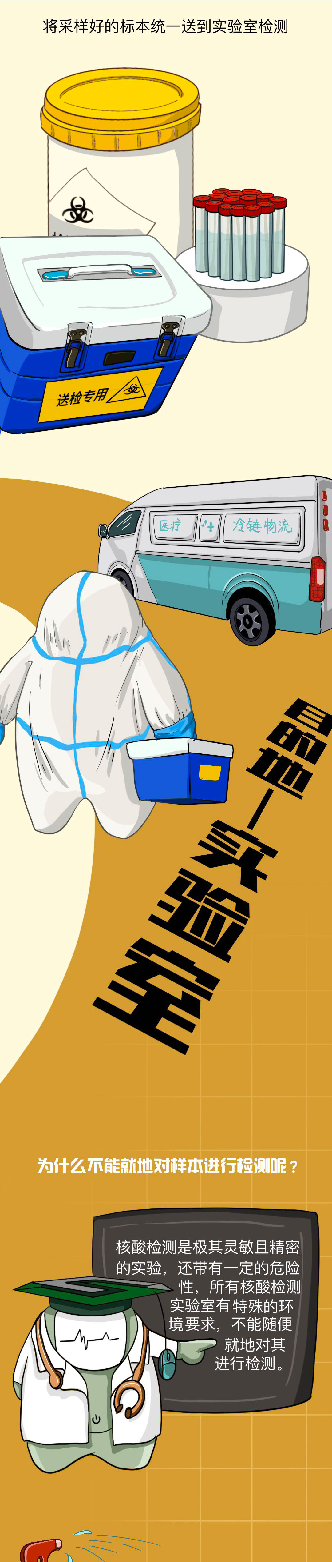 核酸检测,核酸报告,核酸报告单是怎么来的 核酸检测,核酸报告,核酸报告单是怎么来的