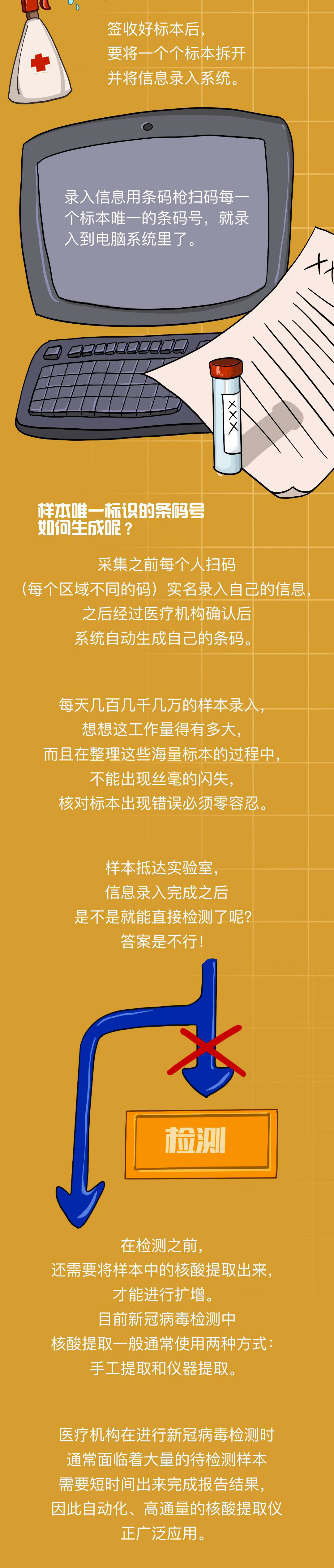 核酸检测,核酸报告,核酸报告单是怎么来的 核酸检测,核酸报告,核酸报告单是怎么来的