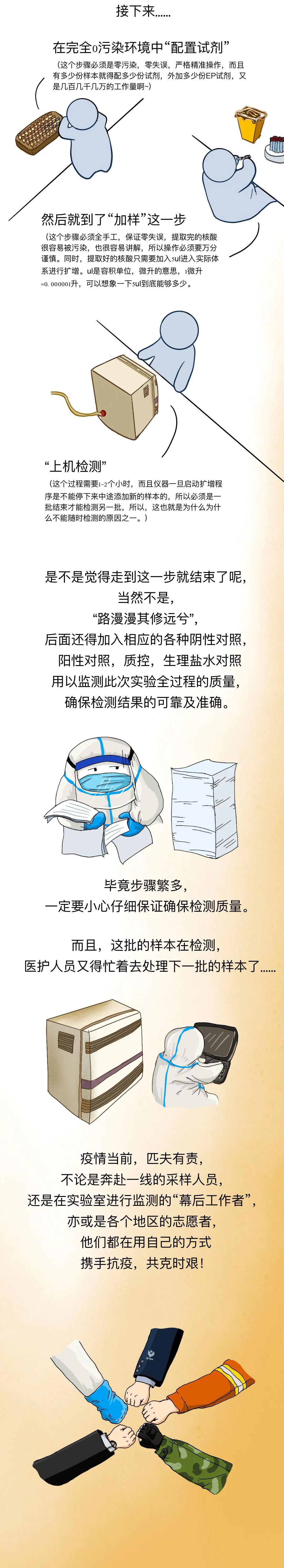 核酸检测,核酸报告,核酸报告单是怎么来