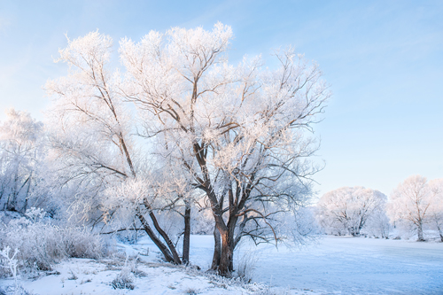 小雪,下雪,二十四节气 小雪,下雪,二十四节气