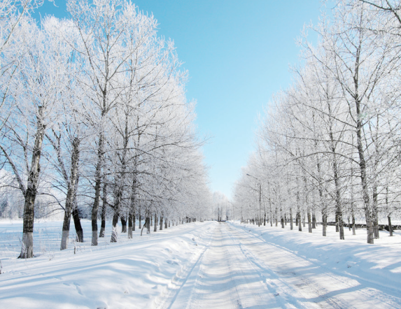寒潮,防寒保暖,器官保暖,大雪节气 寒潮,防寒保暖,器官保暖,大雪节气
