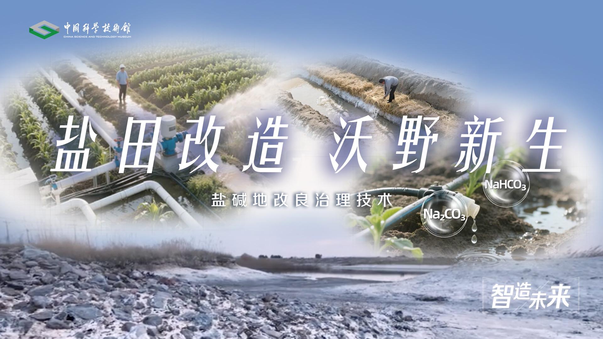 【智造未来】盐田改造 沃野新生——盐碱地改良治理技术